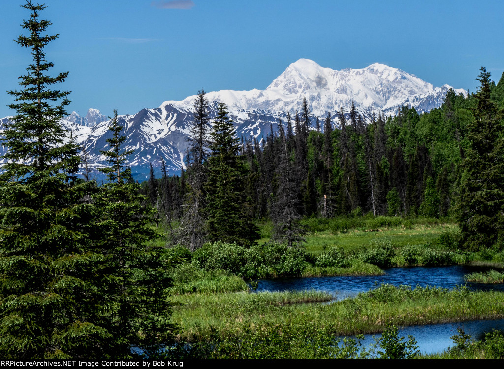 Mount Denali from the rear car of the Denali Explorer